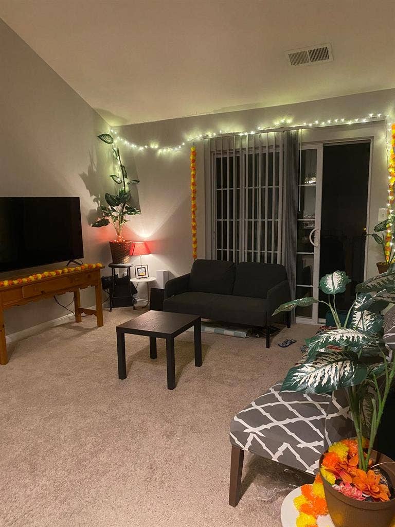 Furnished apartments for sublease