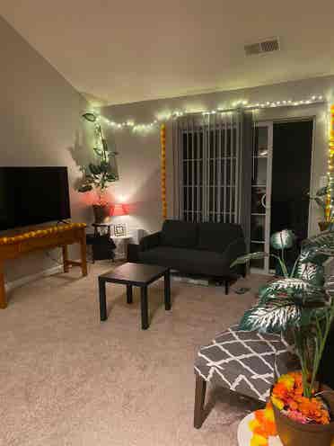 Furnished apartments for sublease