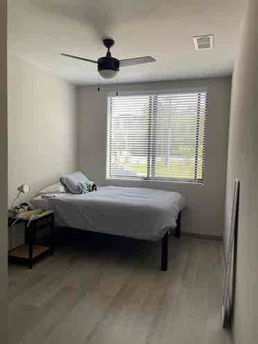 Subletting Private Room- The Main