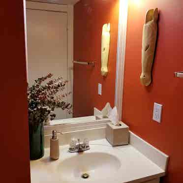 Tranquil Townhouse n Stone Mountain