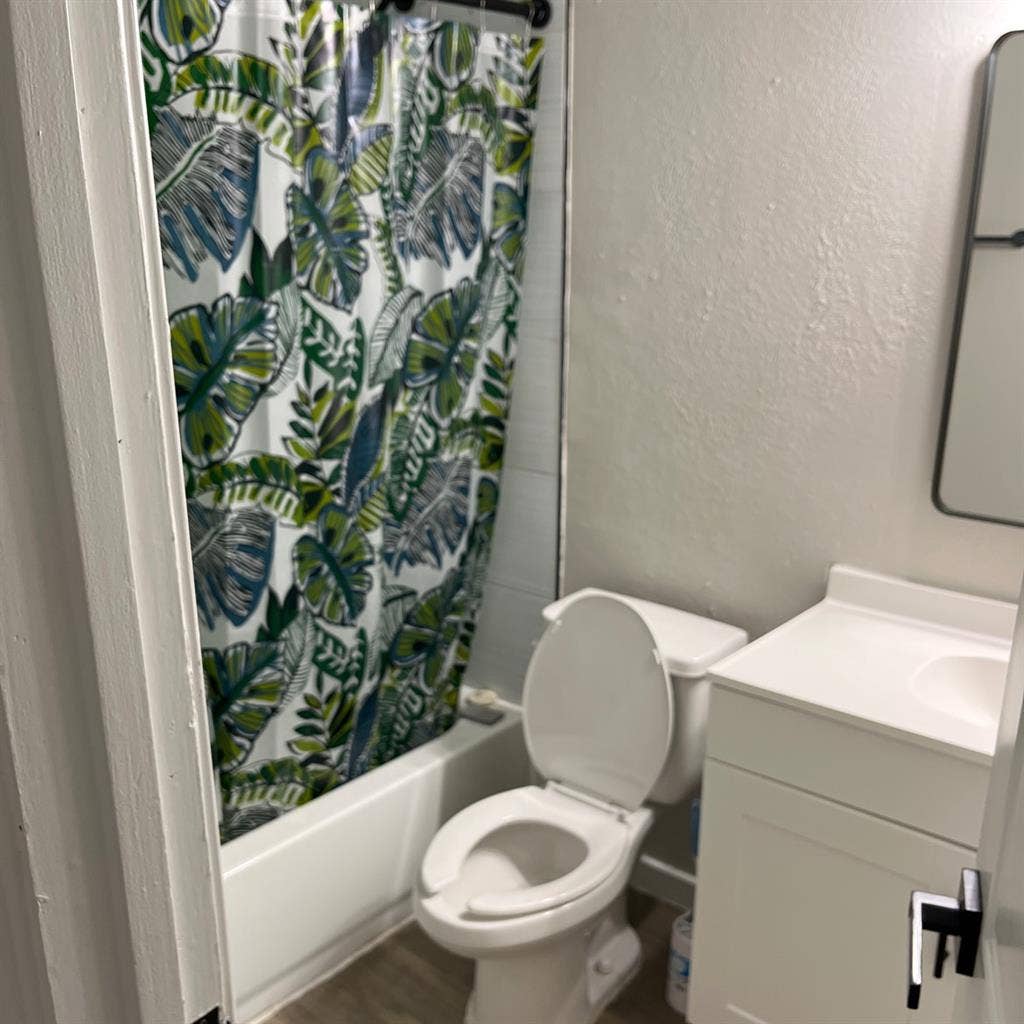 Roommate Needed!