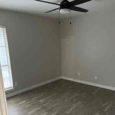 Roommate Needed!