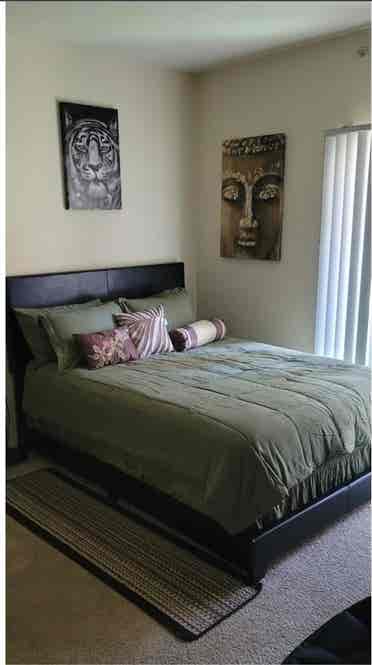 Beautiful large furnished room