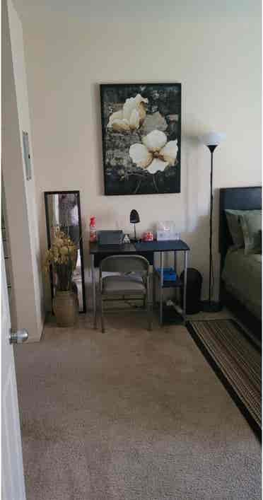 Beautiful large furnished room