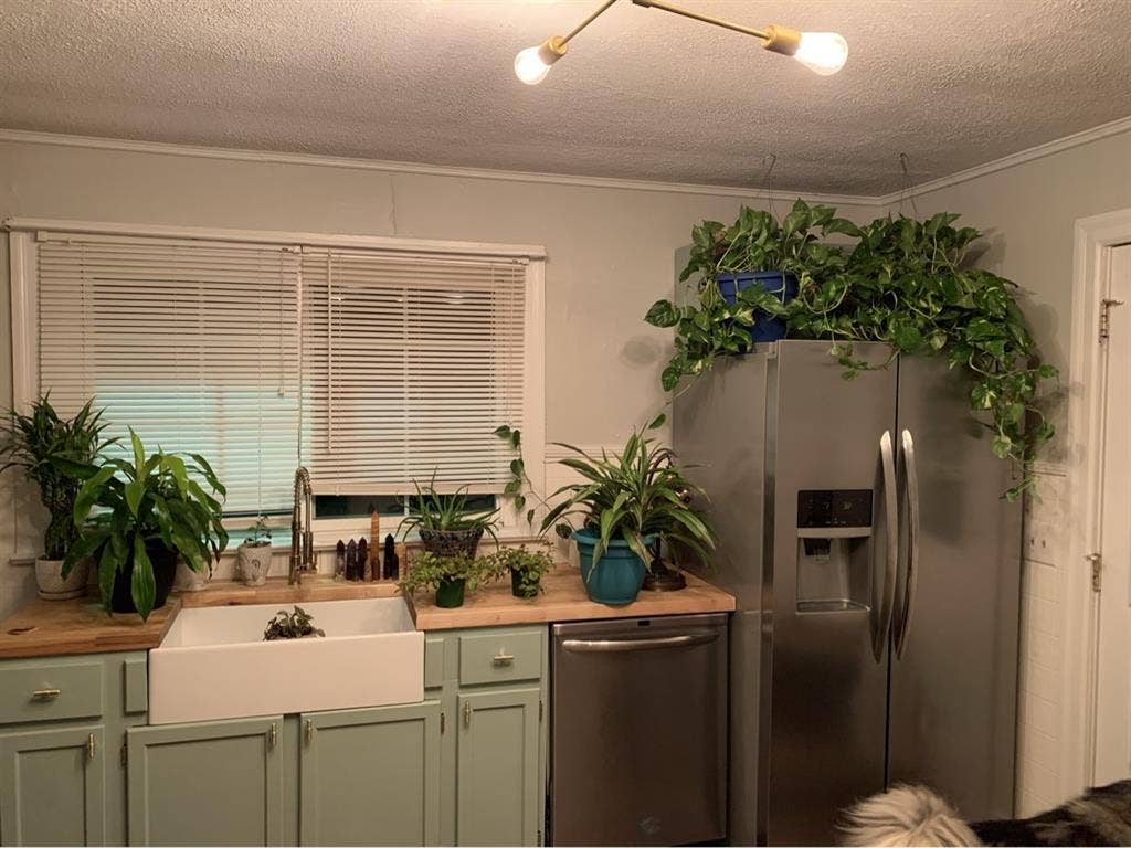 Room available June 1st!