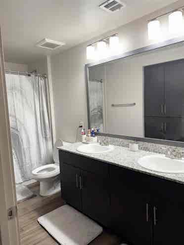 Looking for roommate! Females only!