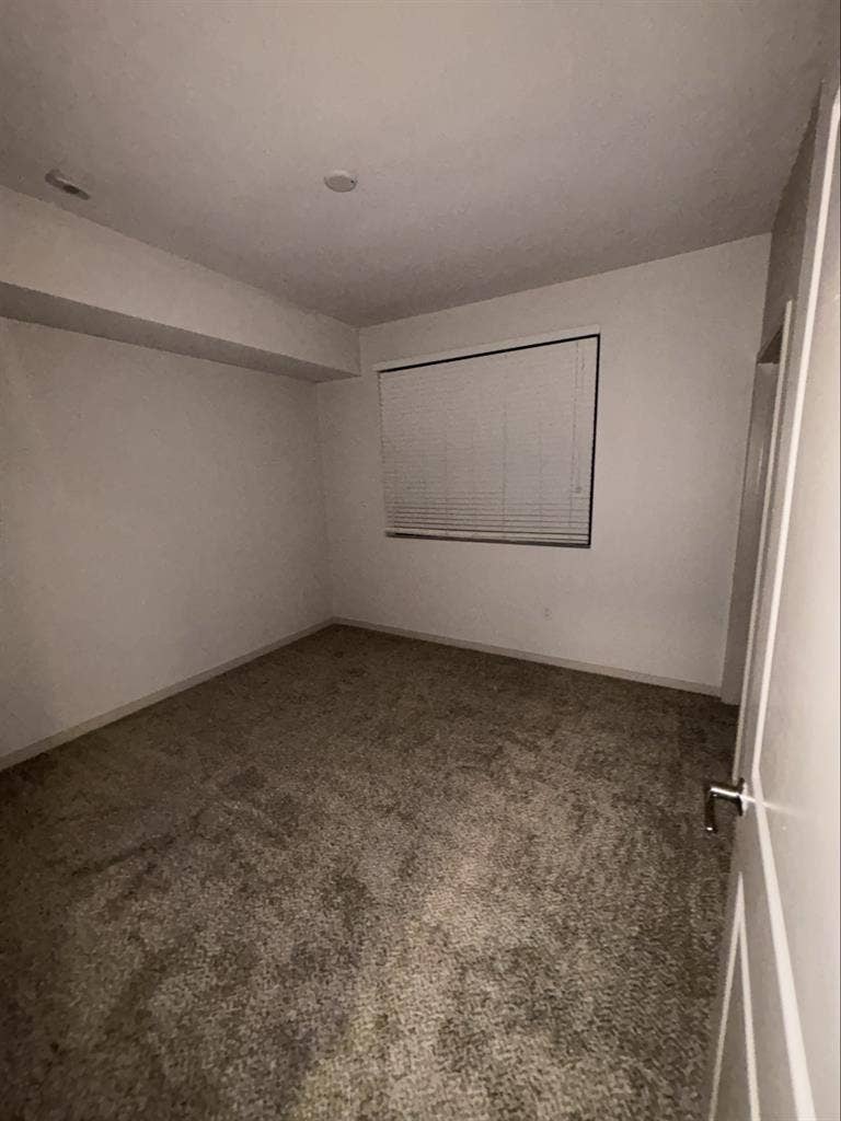 Looking for roommate! Females only!
