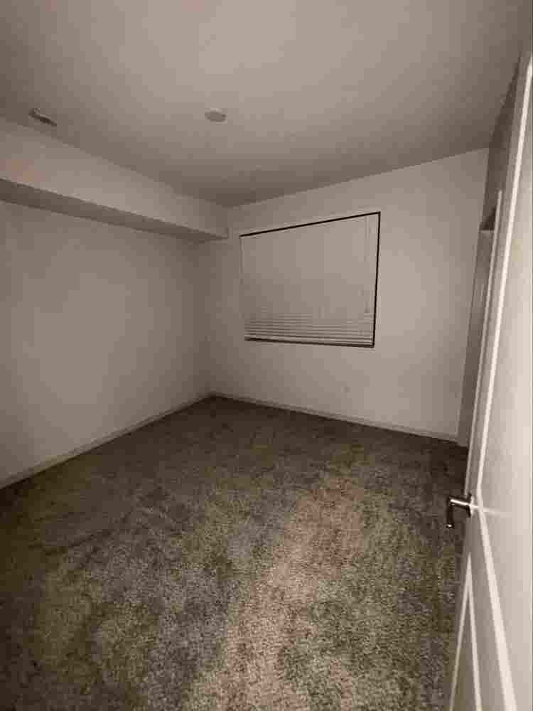 Looking for roommate! Females only!