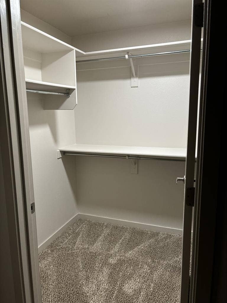 Looking for roommate! Females only!