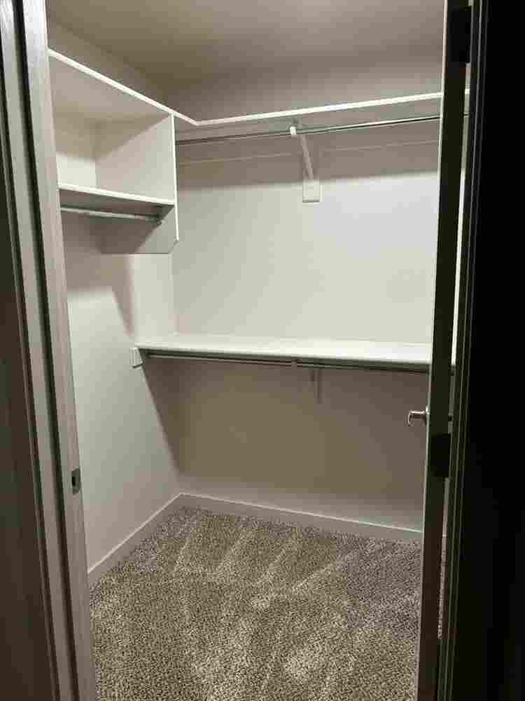 Looking for roommate! Females only!