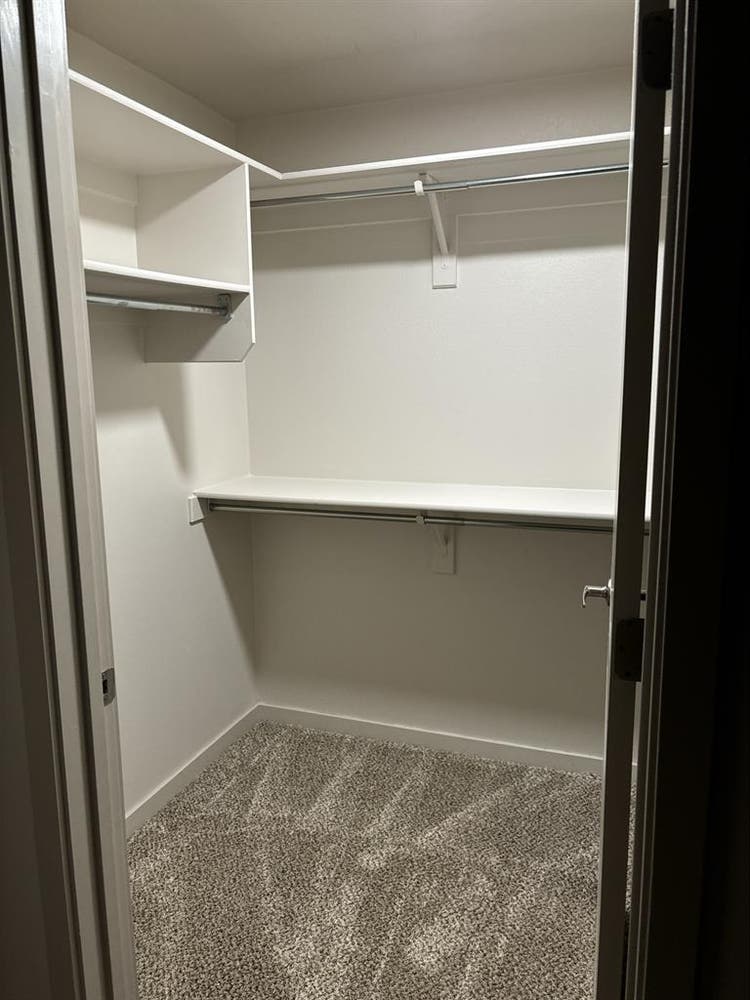Looking for roommate! Females only!