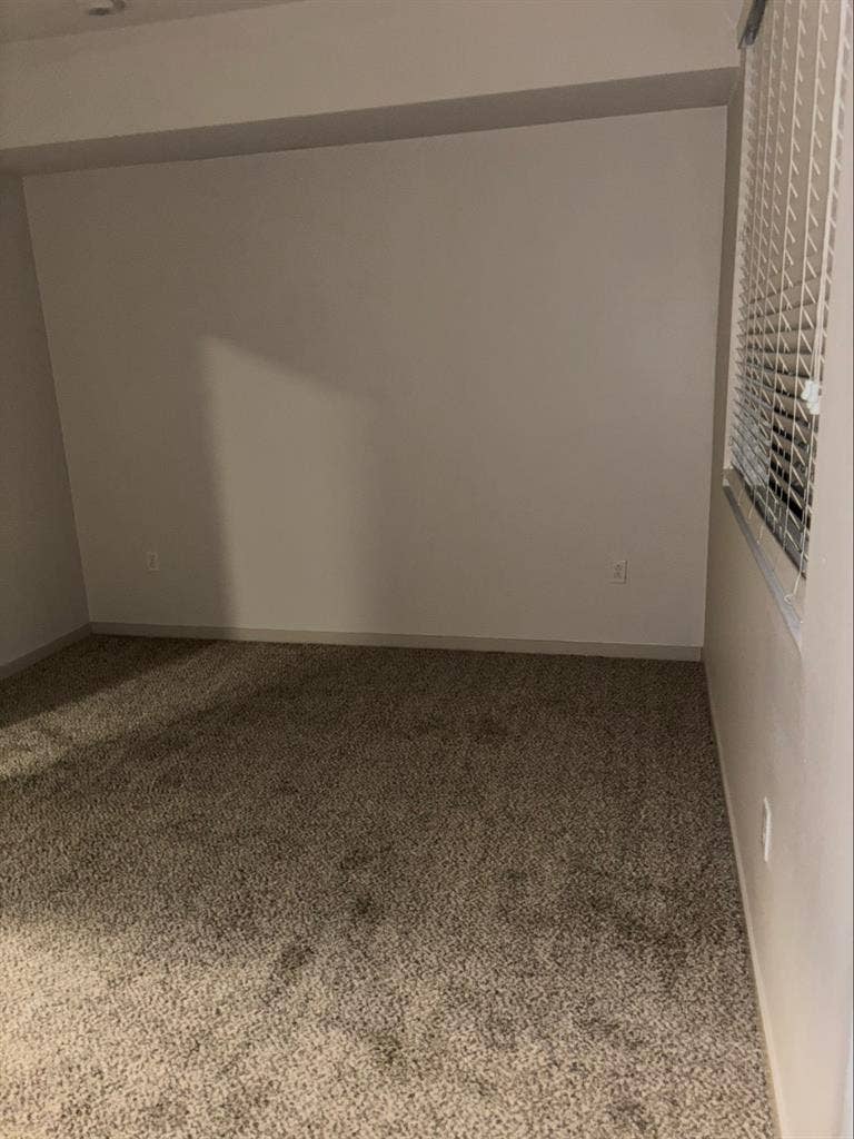 Looking for roommate! Females only!