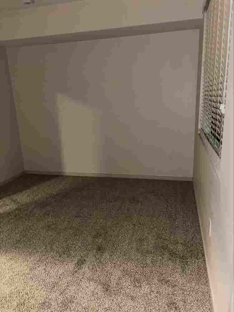 Looking for roommate! Females only!
