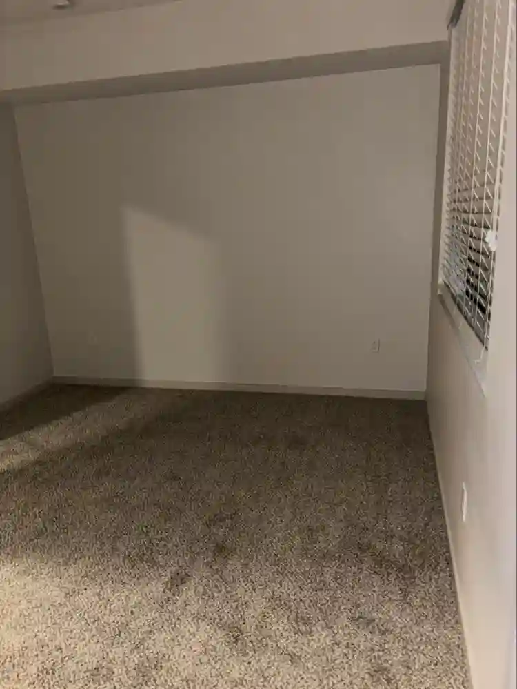 Looking for roommate! Females only!