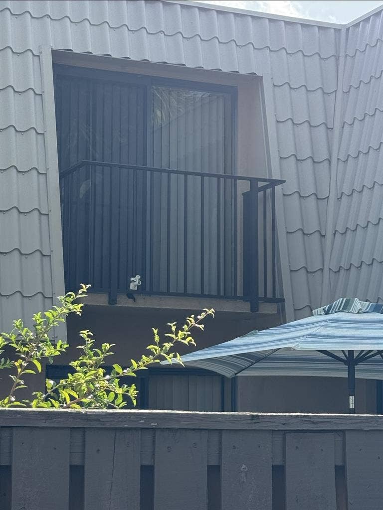 Roommate needed ASAP