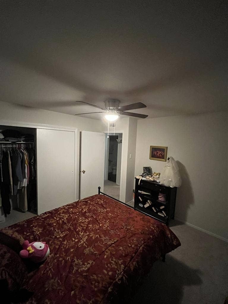 Female roommate wanted ba