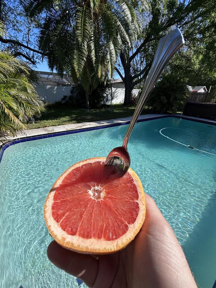 Just min from beach or dt st.pete