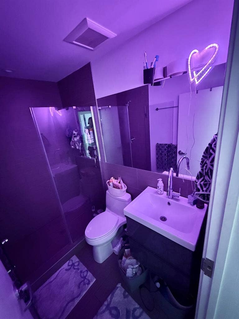 Roommate ASAP - Aug 1st :)