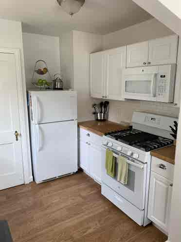 Large Room in Downtown Ferndale