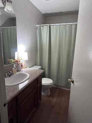 Room Available for May!
