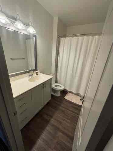 Looking for female roommate!