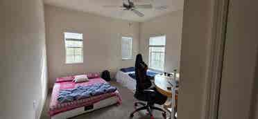 New listing, looking Indian roomate