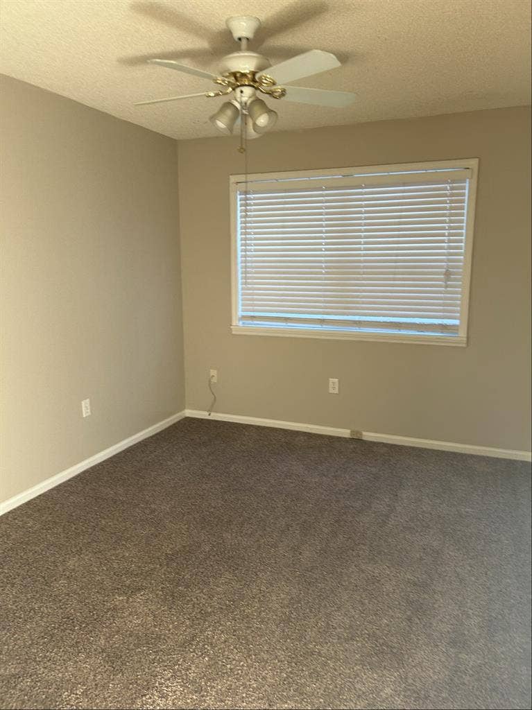 In need of a roommate