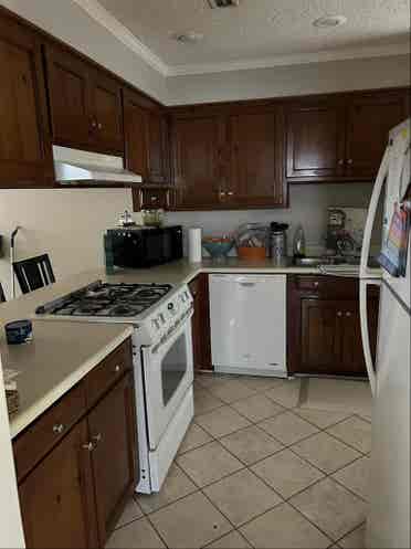In need of a roommate