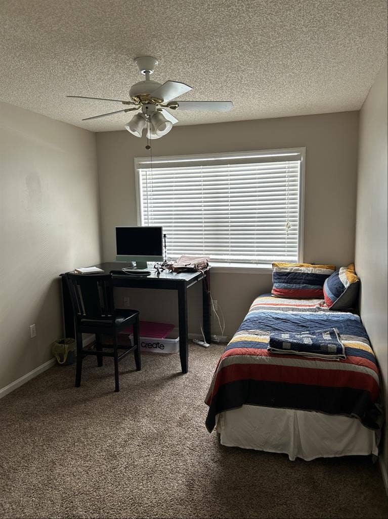 In need of a roommate