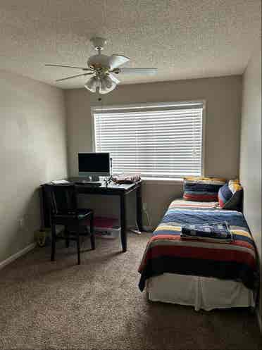 In need of a roommate