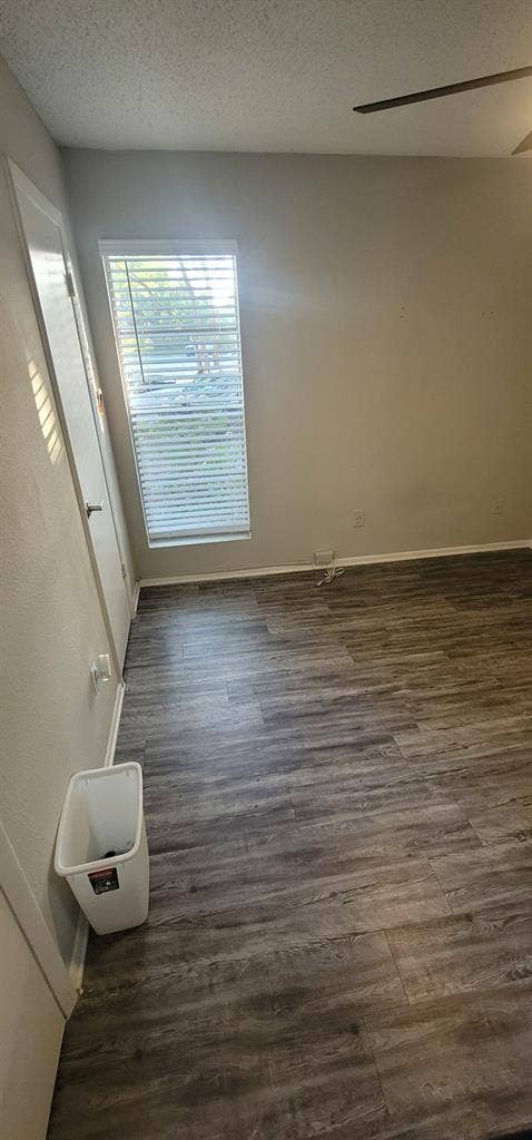 Professional or Student