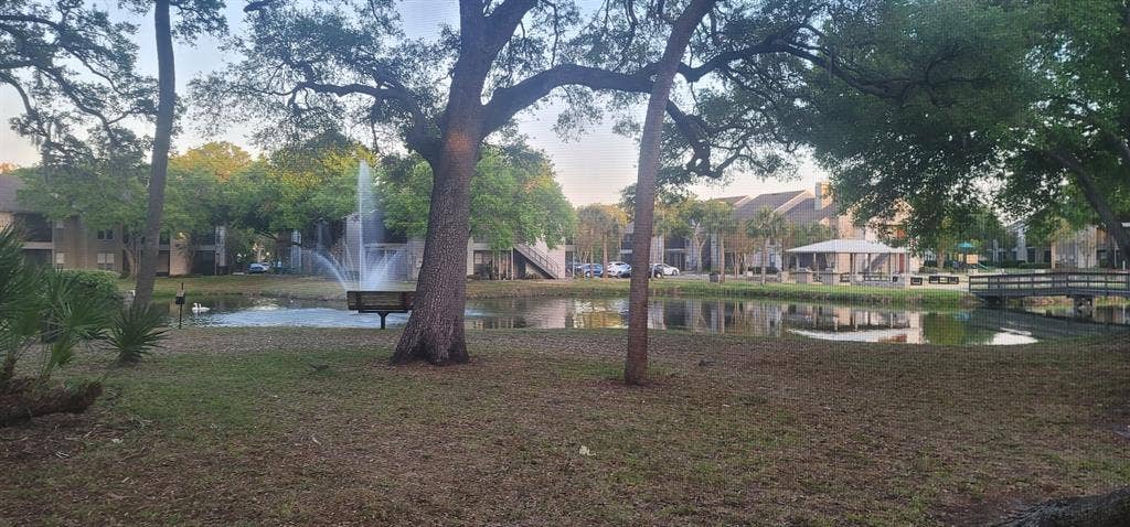 Professional or Student