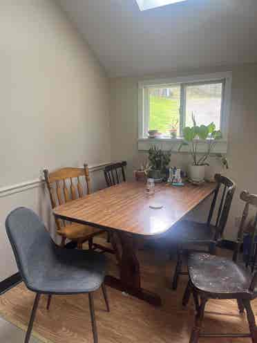 Lower South Hill Rooms w nice pooch