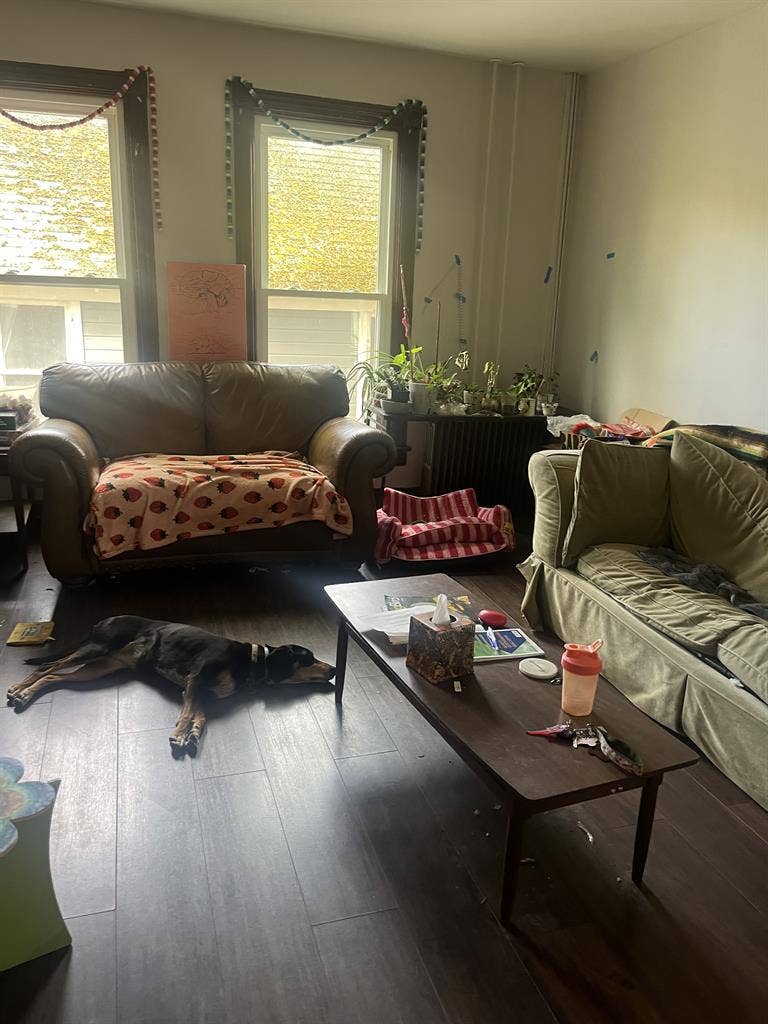 Lower South Hill Rooms w nice pooch