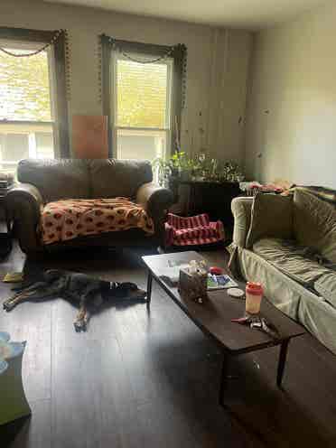 Lower South Hill Rooms w nice pooch