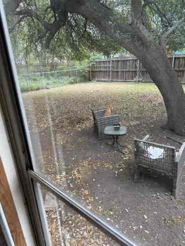 Cozy cottage central 
Austin