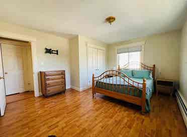 Roommate wanted June 1