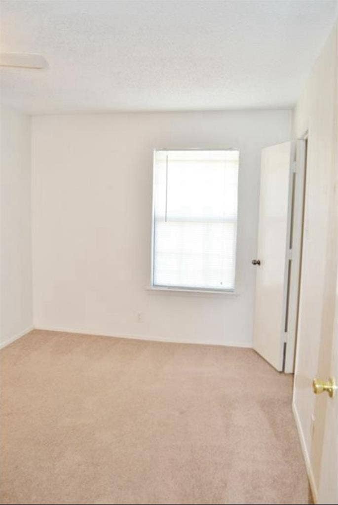 Looking for a roommate