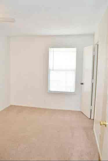 Looking for a roommate