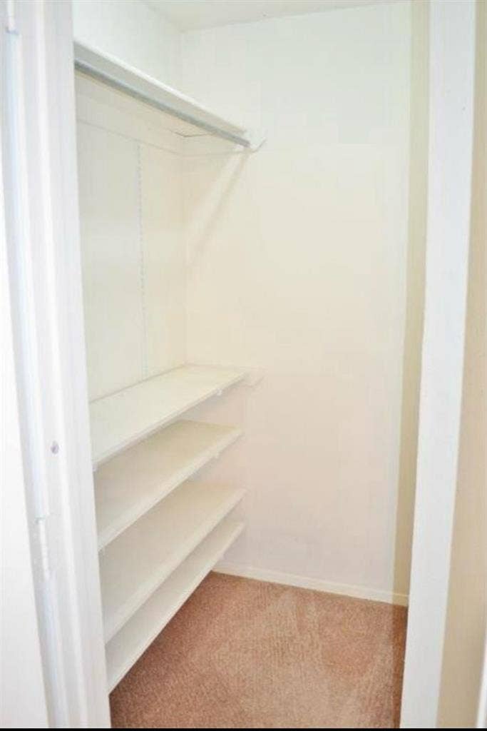 Looking for a roommate