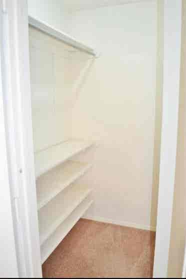 Looking for a roommate