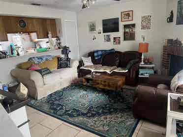 Looking for a roommate