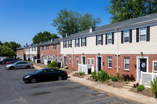 Looking for a roommate