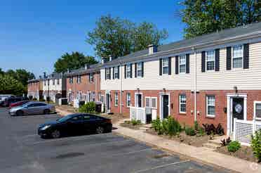 Looking for a roommate