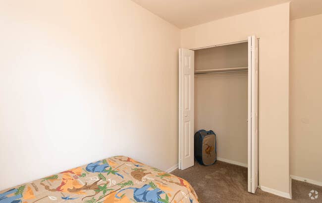 Looking for a roommate