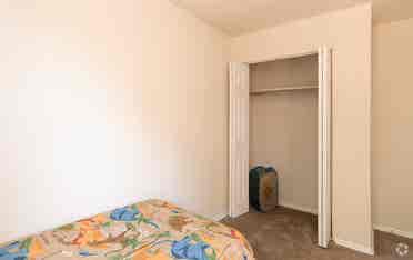 Looking for a roommate