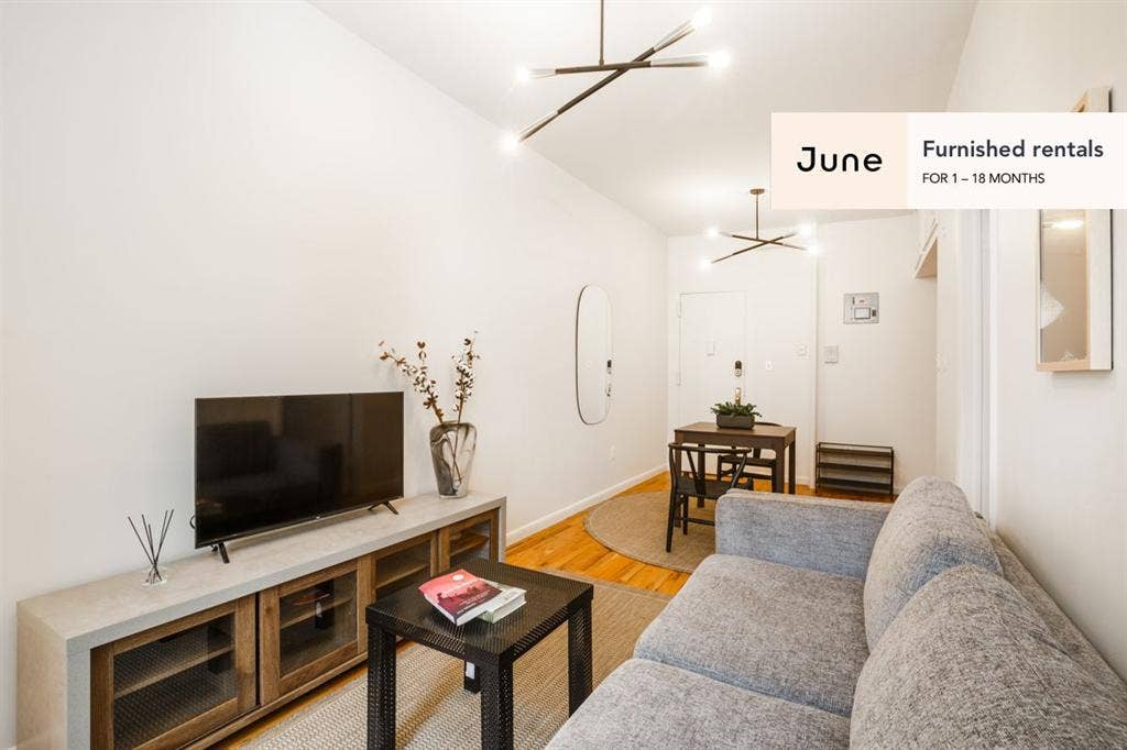 1 BR in New York City