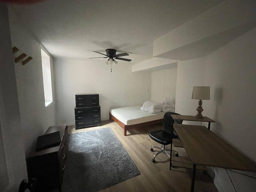 Entire basement!!!