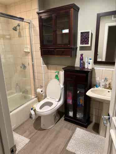 Furnished room private bathroom.