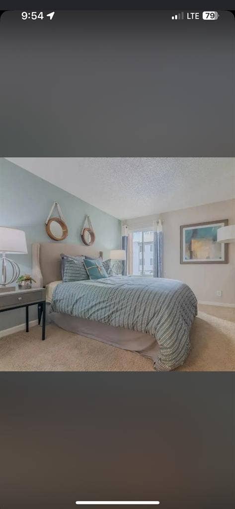 looking for a nice roommate